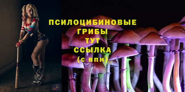 ALPHA-PVP Бородино