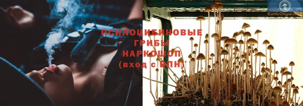 МДПВ Бронницы