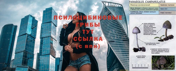 МДПВ Бронницы
