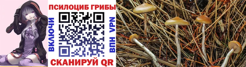 Псилоцибиновые грибы мухоморы  купить наркотик  Сосногорск 